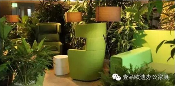 為什么辦公室里一定要養(yǎng)植物？-壹品歐迪辦公家具