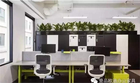 為什么辦公室里一定要養(yǎng)植物？-壹品歐迪辦公家具