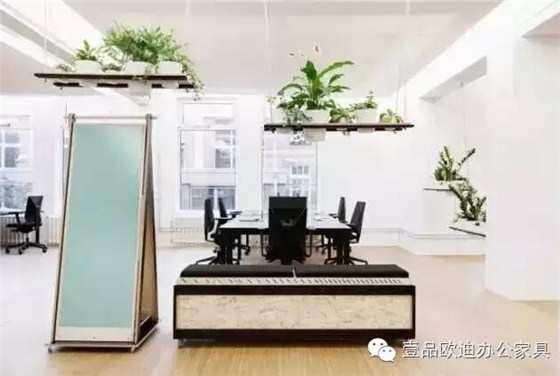 為什么辦公室里一定要養(yǎng)植物？-壹品歐迪辦公家具