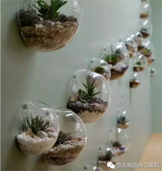 為什么辦公室里一定要養(yǎng)植物？-壹品歐迪辦公家具