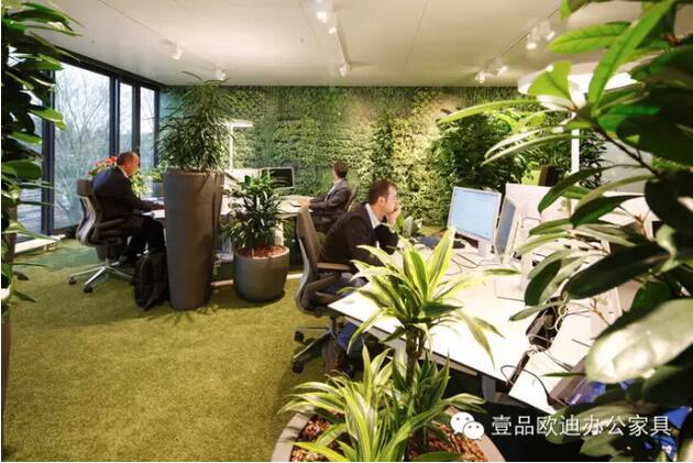 為什么辦公室里一定要養(yǎng)植物？-壹品歐迪辦公家具