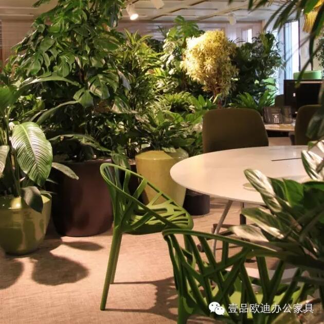 為什么辦公室里一定要養(yǎng)植物？-壹品歐迪辦公家具