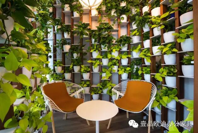 為什么辦公室里一定要養(yǎng)植物？-壹品歐迪辦公家具