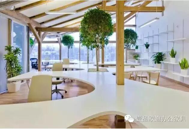 為什么辦公室里一定要養(yǎng)植物？-壹品歐迪辦公家具