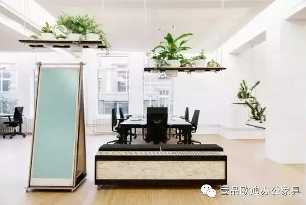 為什么辦公室里一定要養(yǎng)植物？-壹品歐迪辦公家具