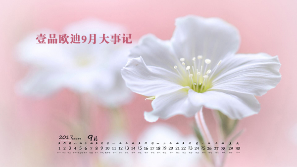 金秋九月，壹品歐迪又有新鮮事發(fā)生了